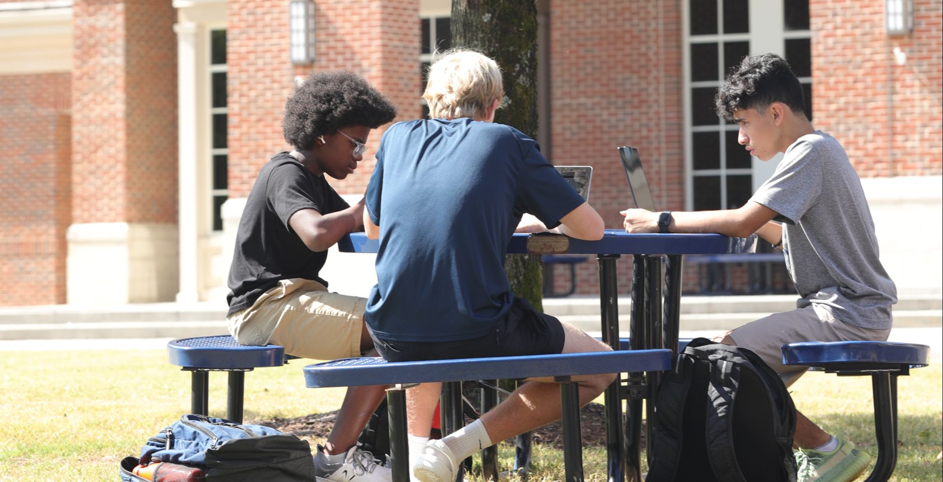 Students sitting outdoors studying