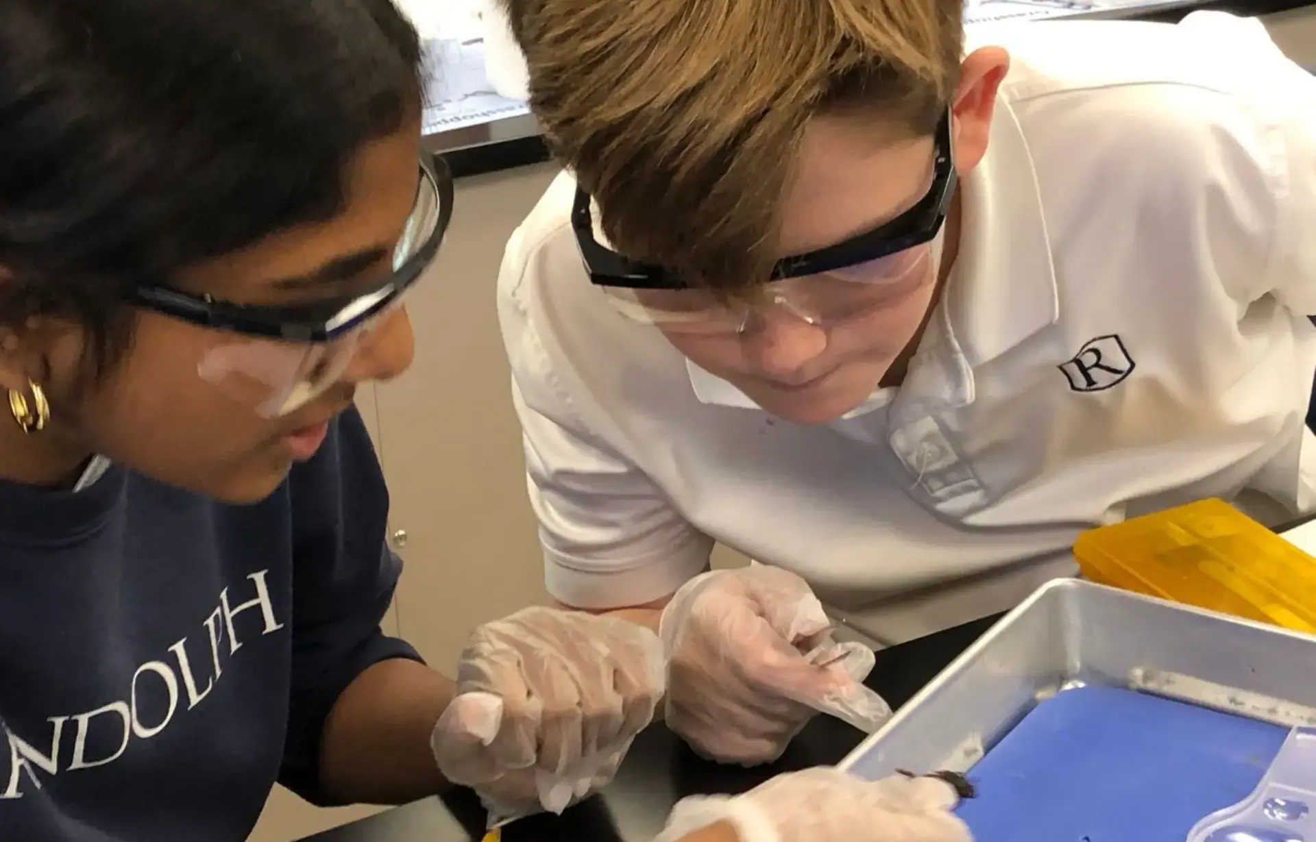 Students engaging in science class