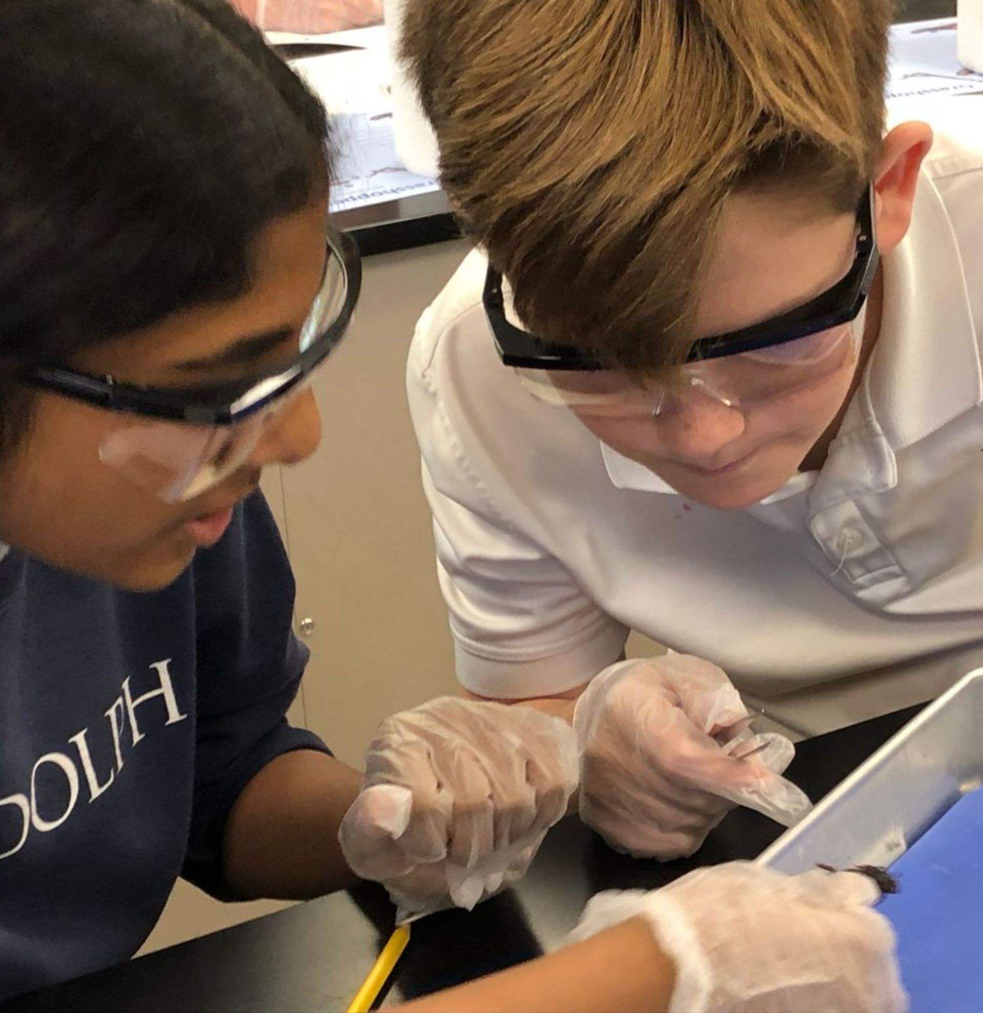 Two Randolph School students, a boy and a girl, conduct a hands-on experiment together in the science lab, exploring scientific concepts with curiosity and focus.